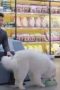 Nonton Film My Precious Season 1 Episode 2 Terbaru Nonton Film My Precious Season 1 Episode 2 Terbaru